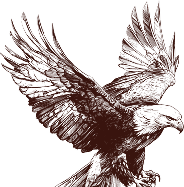 An engraved eagle in flight, wings spread